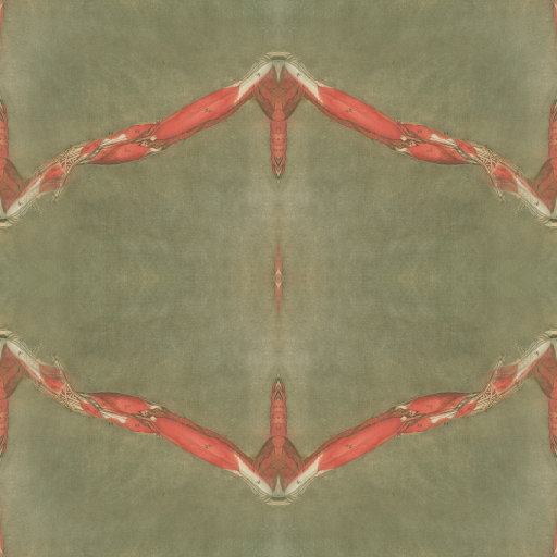 Vintage anatomical illustration of human muscles repeated in a mirror symmetry pattern on wallpaper.