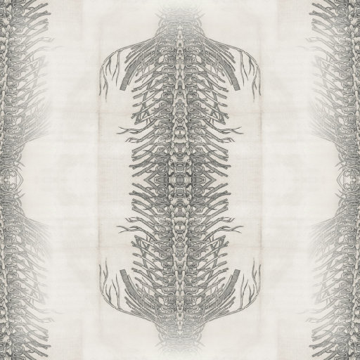 Mirror symmetry anatomical wallpaper depicting the human nervous system, with intricate lines resembling neural pathways.