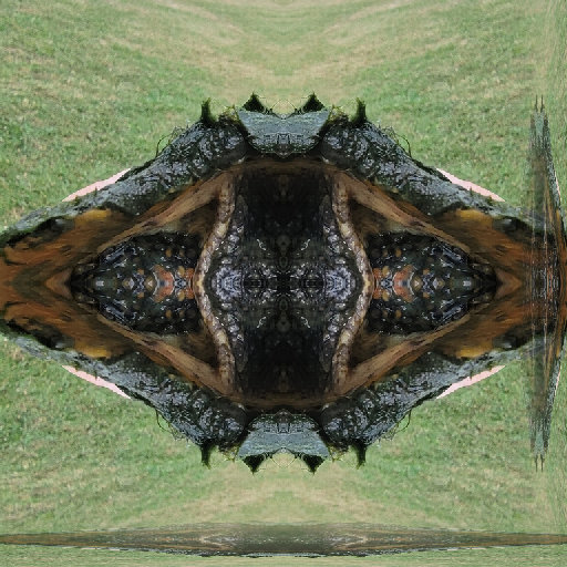 Close-up of 'Architectural Plan · Mirror' wallpaper, showing intricate floor plan lines reflecting symmetrically on a wall.