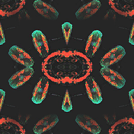 A symmetrical repeating pattern of diatom chains, created using mirror symmetry, on a self-adhesive wallpaper.